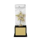 DW 9331 Wooden Star Award Trophy