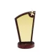 Eco friendly Wooden Trophy