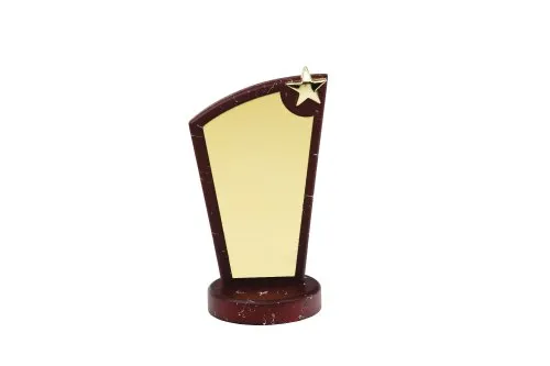 Eco friendly Wooden Trophy