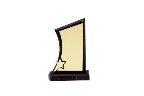 Economy Wooden Trophy